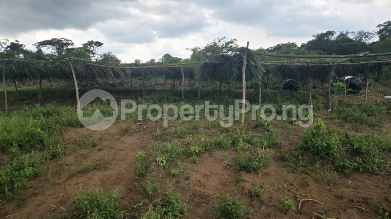 Land for sale Sunshine Garden Estate Located In Ipara,off Lagos Ibadan Expressway Ogun Waterside Ogun