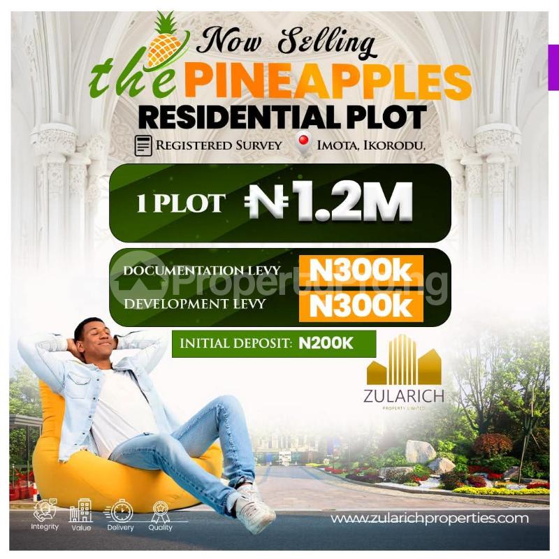 Land for sale The Pine Apples, Imota Ikorodu Ikorodu Lagos