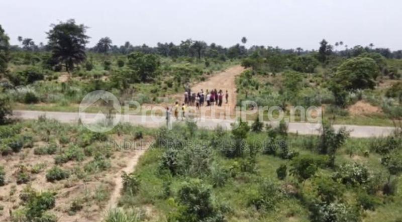 Land for sale Chokocho Bridge, Igwuruta Round About. Obia-Akpor Port Harcourt Rivers