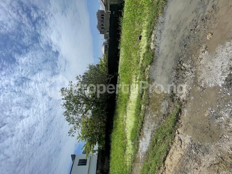 Land for sale Off Mobil Road Behind Mega Chicken Ikota Ilaje Ajah Lagos - 0