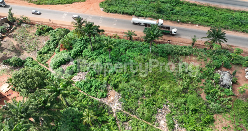Land for sale Opposite Cubana Millennium Estate Asaba Delta