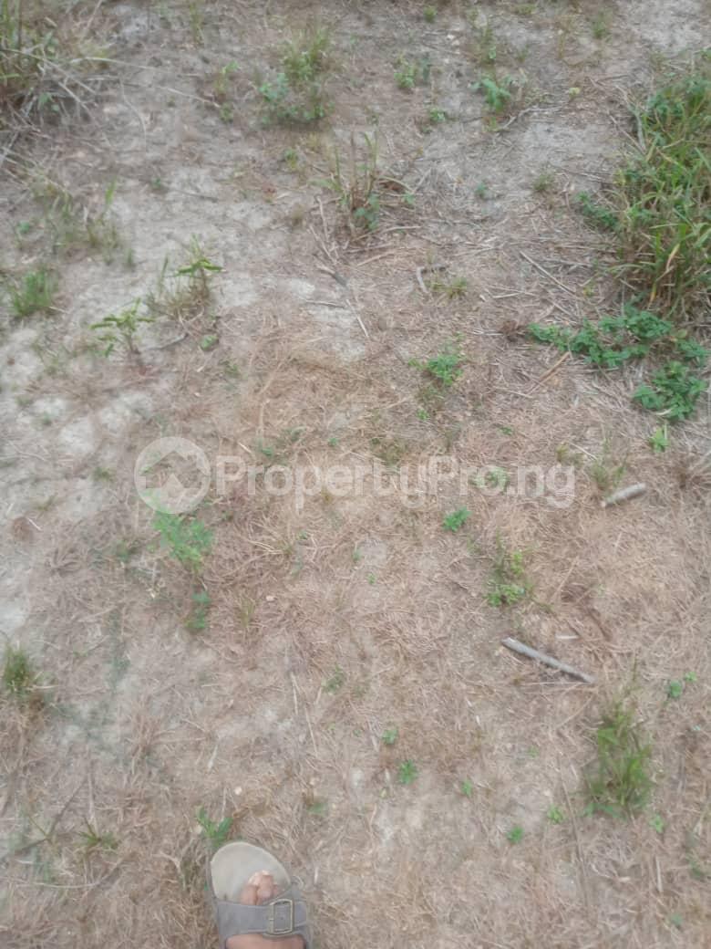 Land for sale Grace Land Luxury Park & Suite Lacapine Tropicana Resort Ise town Ibeju-Lekki Lagos
