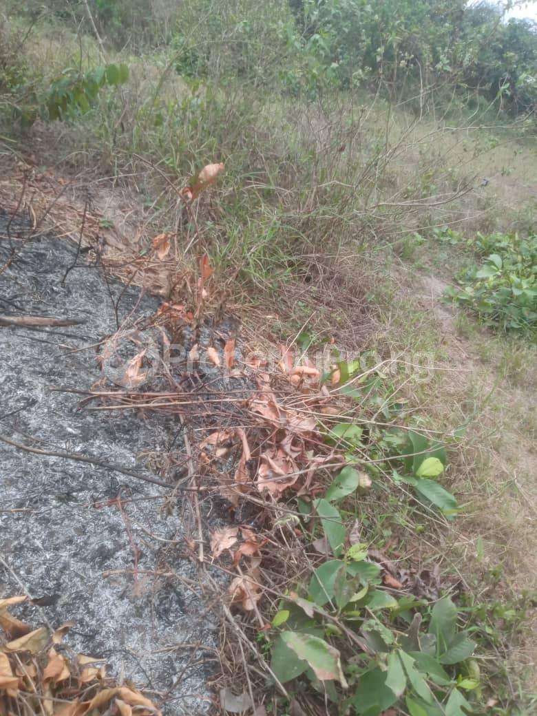 Land for sale Ala Udo Gardens & Park Phase 3, (extension) Off Portharcourt Road Avu. Owerri Imo - 0