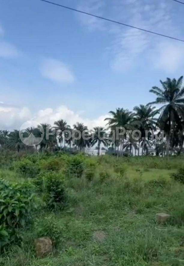 Land for sale Maitama Abuja