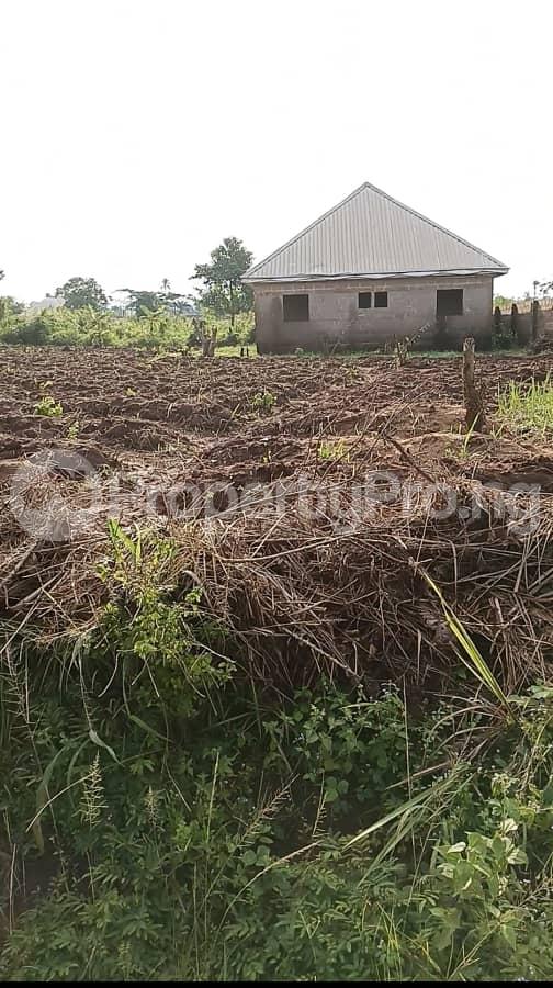 Land for sale Asaba Benin Expressway Asaba Delta - 0