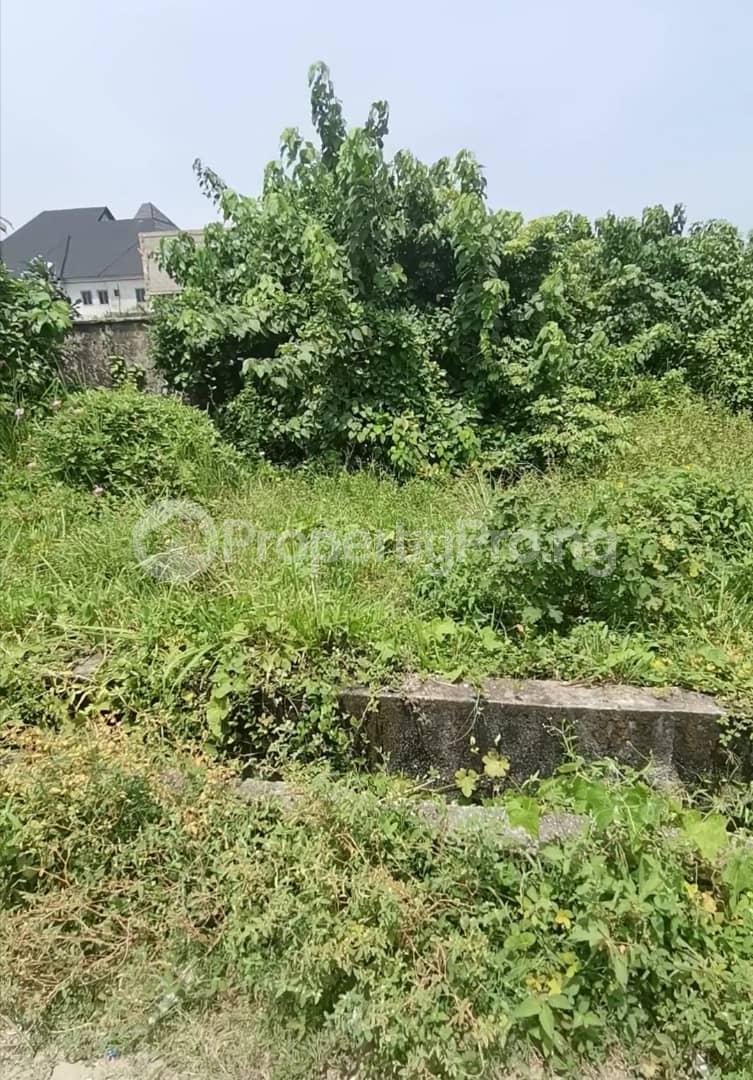 Land for sale Lekki Phase 2 Lekki Lagos - 0