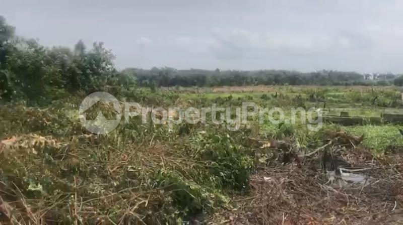 Land for sale Free Trade Zone Ibeju-Lekki Lagos