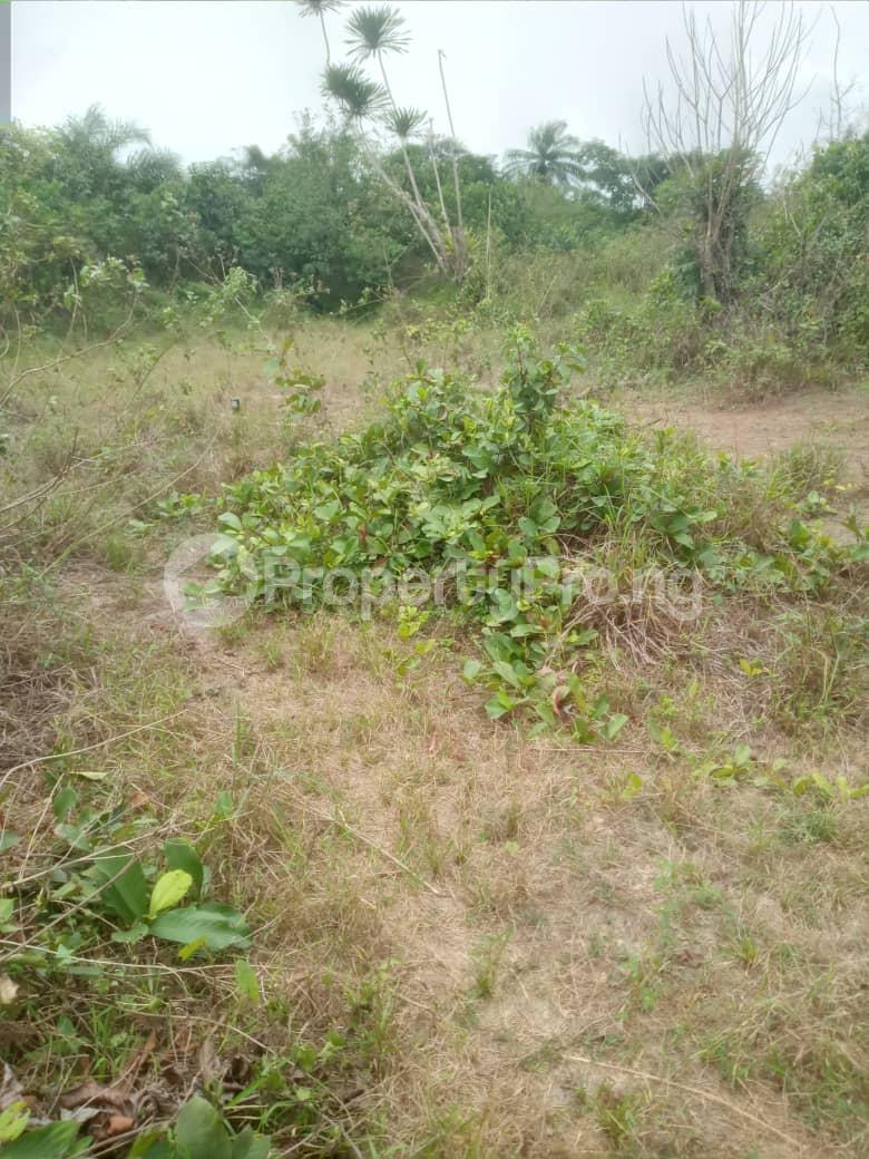 Land for sale Akodo Akodo Ise Ibeju-Lekki Lagos - 0