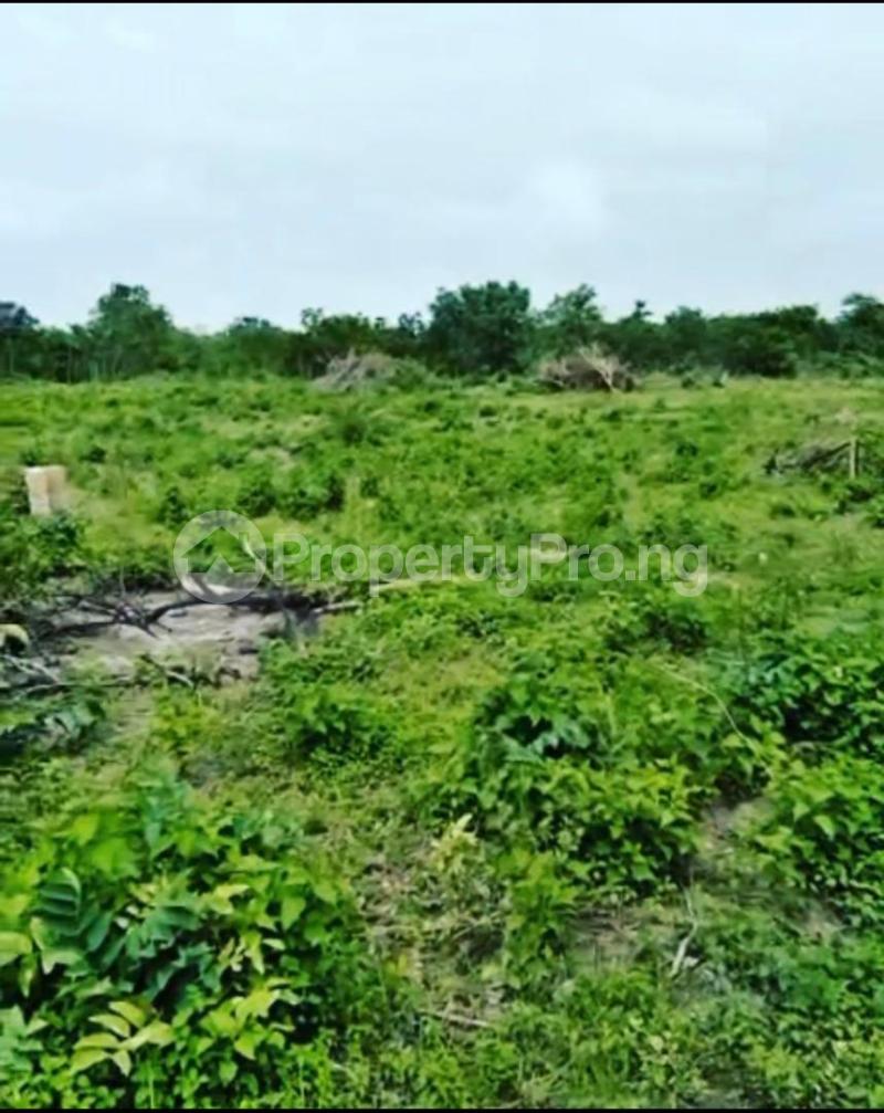 Land for sale Kwara State University Moro Kwara