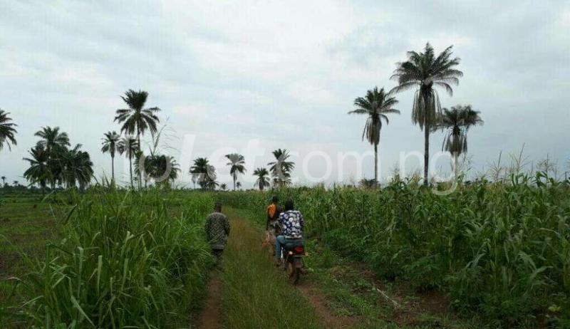 Land for sale Sagamu, Shagamu, Ogun State Sagamu Ogun - 0