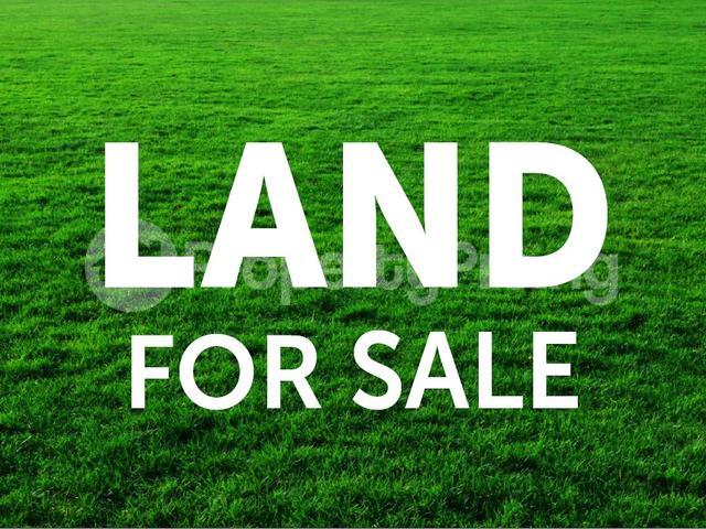 Land for sale Between Chevron And Femi Okunnu Ilasan Lekki Lagos