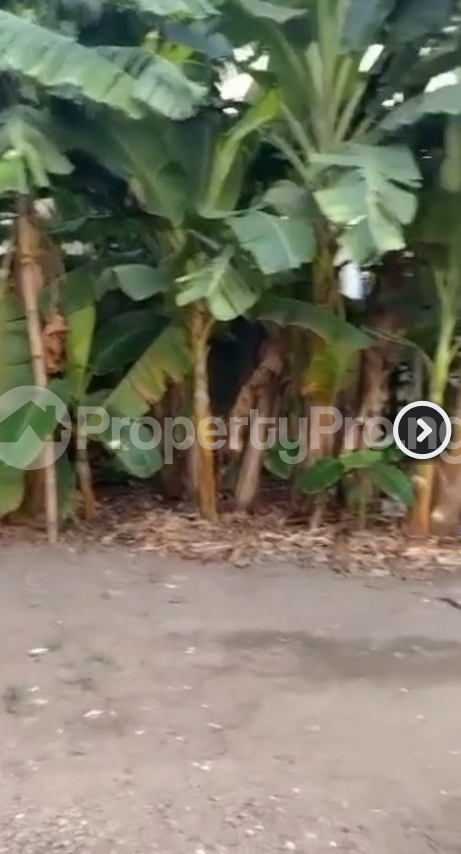 Land for sale Atunranse Estate Gbagada Lagos