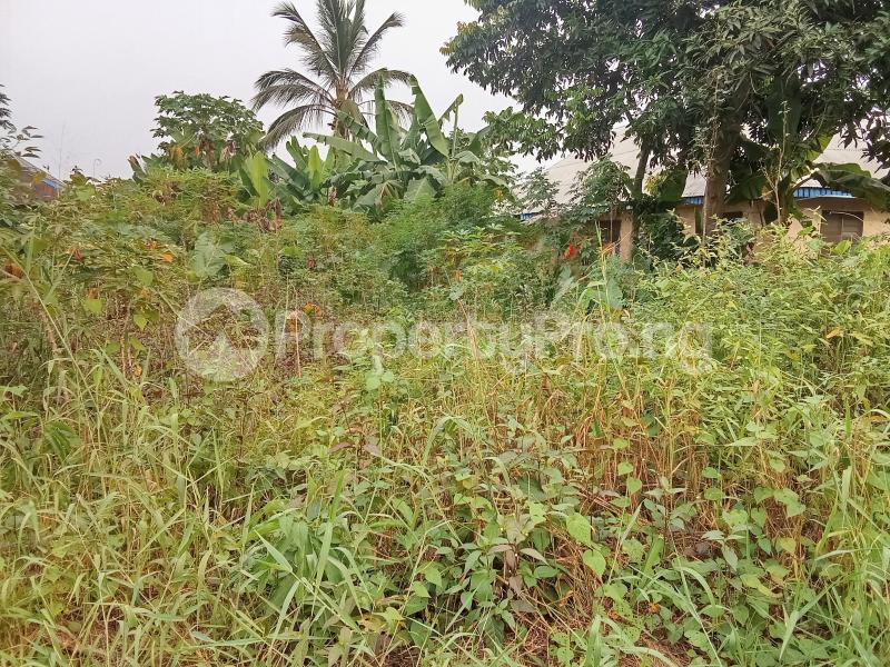 Land for sale Ibom Icon Hotel And Golf Resort Uyo Akwa Ibom
