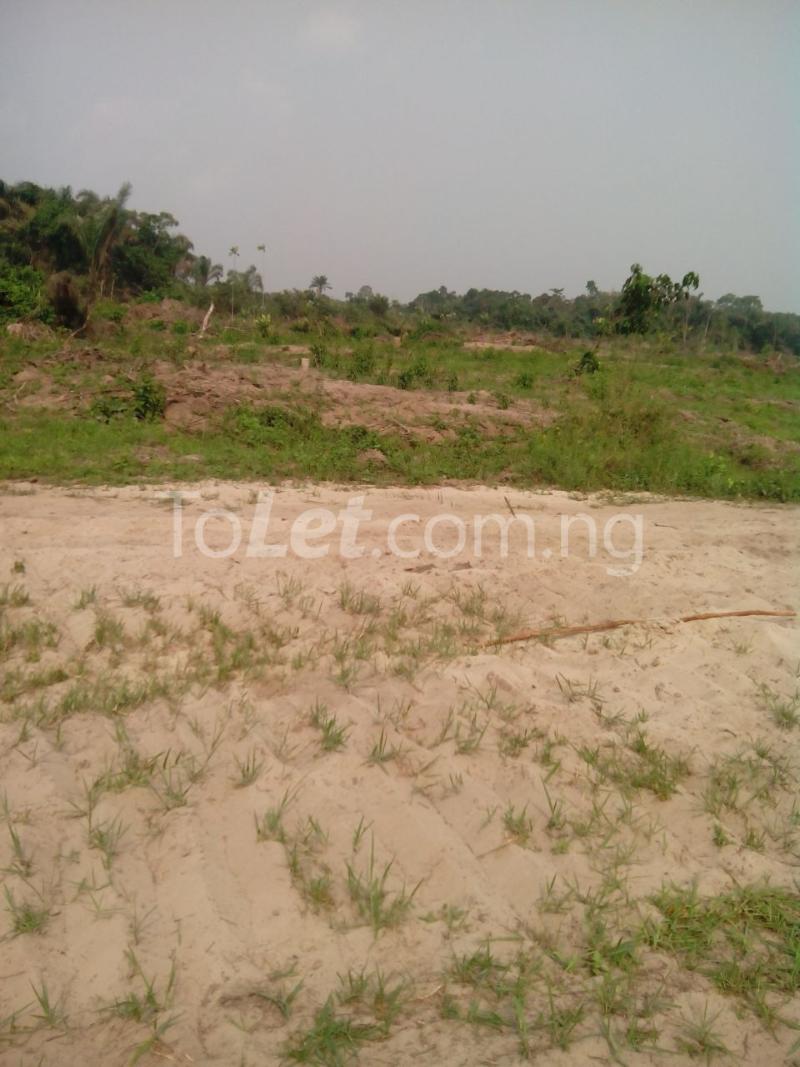 Land for sale Igbekodo Eleko Ibeju-Lekki Lagos