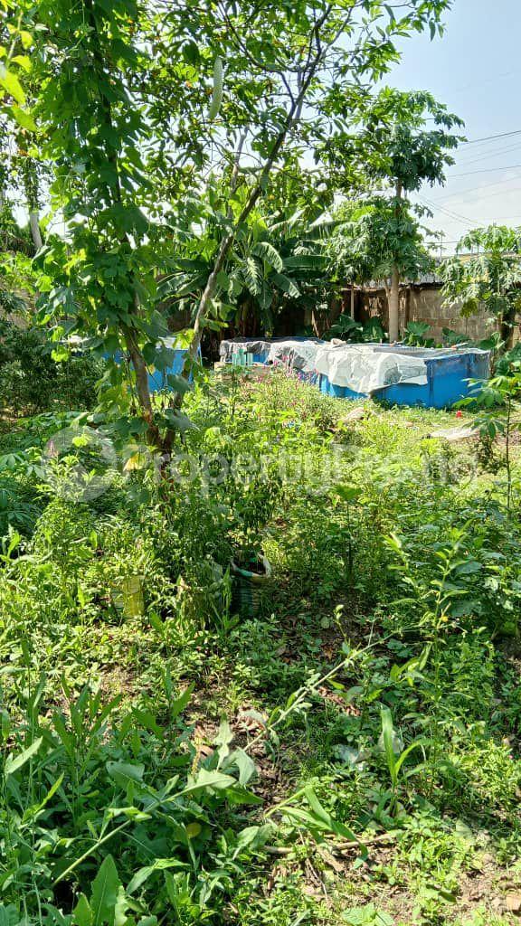 Land for sale Off 1st Avenue, Gowon Estate Egbeda Alimosho Lagos