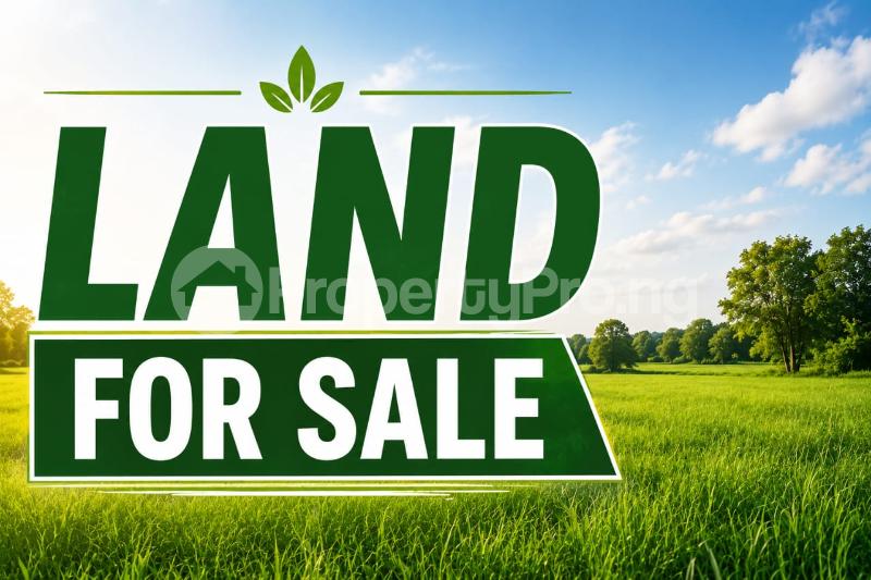 Land for sale  Lekki Phase 1 Lekki Lagos