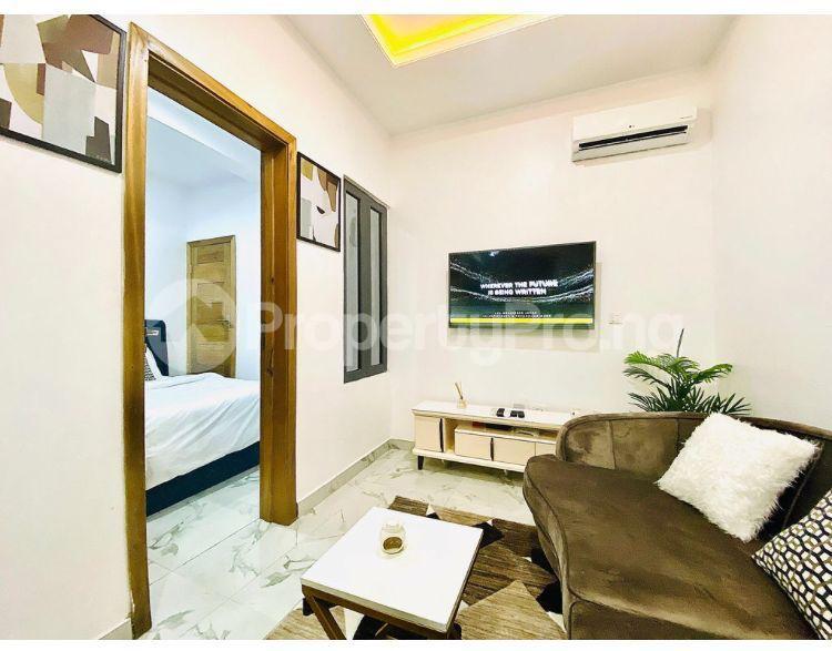 1 bedroom Flat / Apartment for shortlet Midak Mews Lekki Phase 1 Lekki Lagos - 15