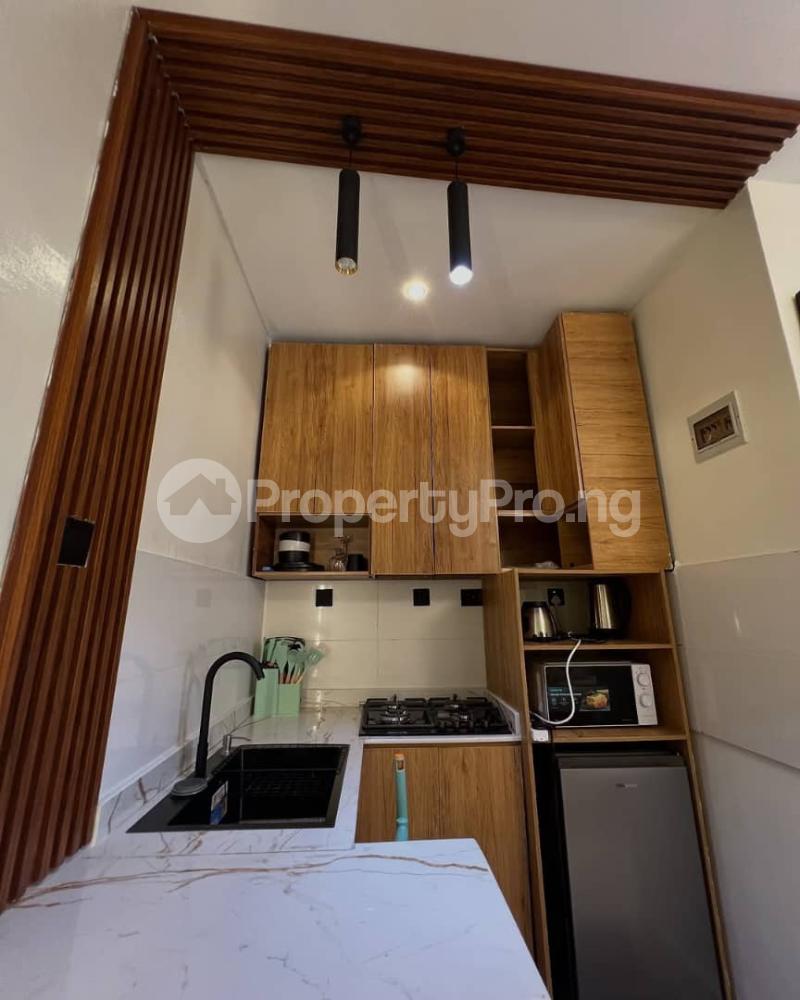 1 bedroom Flat / Apartment for shortlet Kilo Kilo-Marsha Surulere Lagos - 0