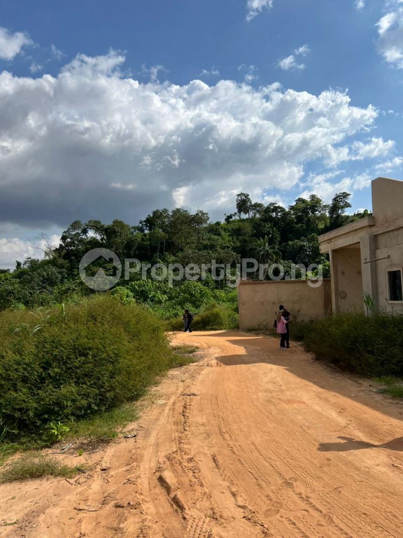 Land for sale Trans Ekulu Annex Extension Enugu Enugu - 1