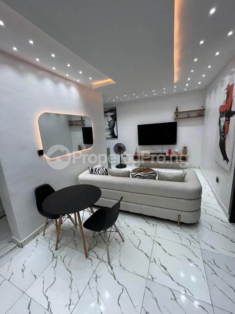 2 bedroom Flat / Apartment for rent Ologolo Lekki Lagos - 8