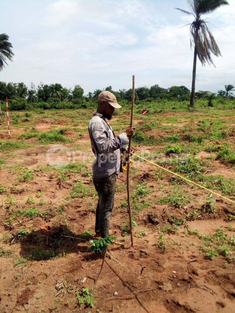 Land for sale Obeagu Akwunanw Enugu, Along Independent Layout 4 Corner Express Way. Enugu Enugu - 2