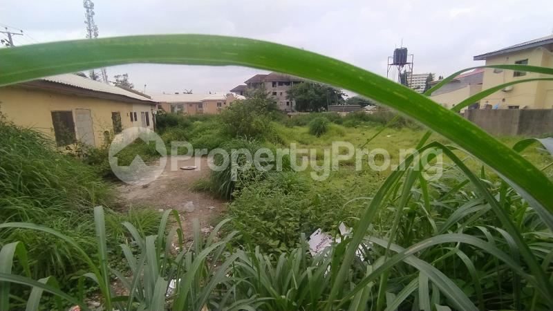 Land for sale Wuse 2 Wuse 2 Abuja