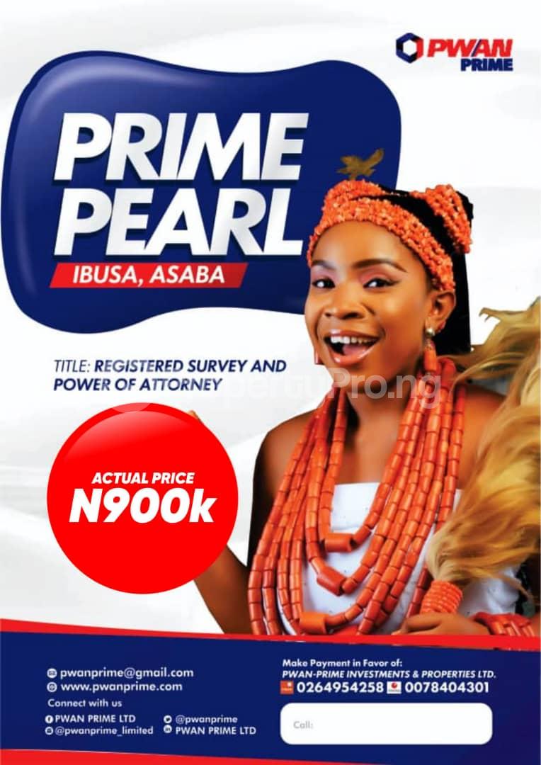 Land for sale Ibusa Bye Pass Asaba Asaba Delta