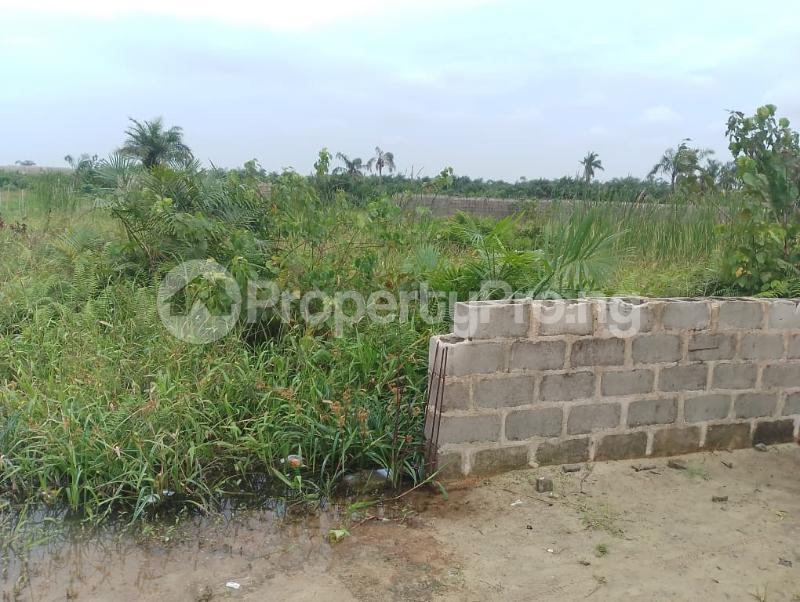 Land for sale Ibeju-Lekki Lagos - 0