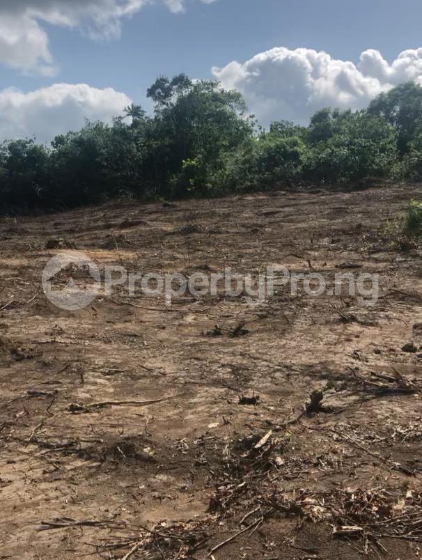 Land for sale Odo Irangushi Epe Lagos