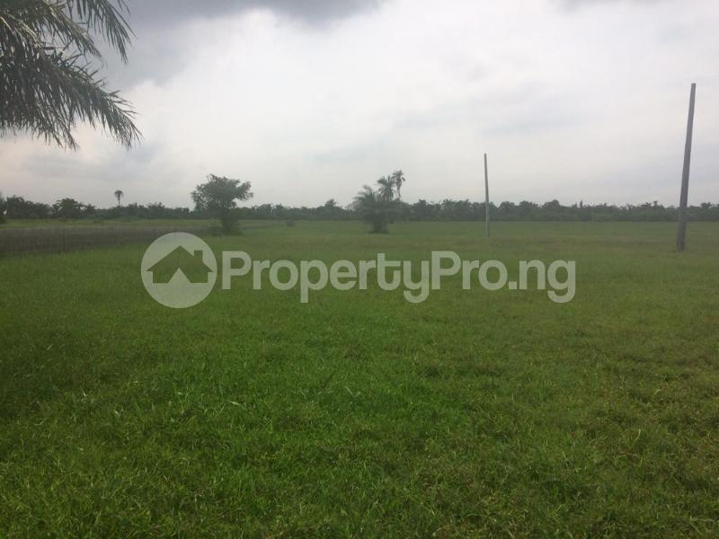Land for sale Odoragunshi Epe Lagos Epe Road Epe Lagos
