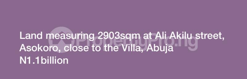 Land for sale Asokoro Abuja