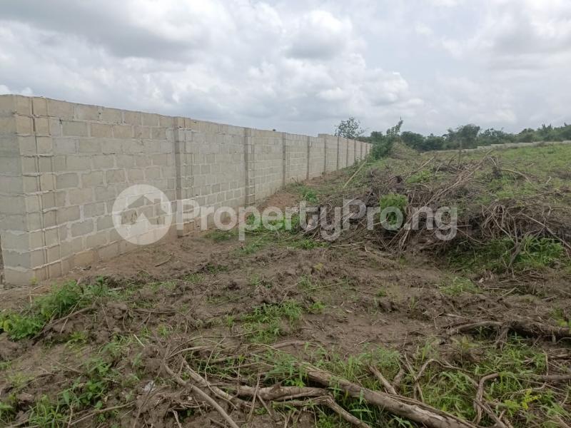 Land for sale Caritas Luxury Homes Sangotedo Ajah Lagos