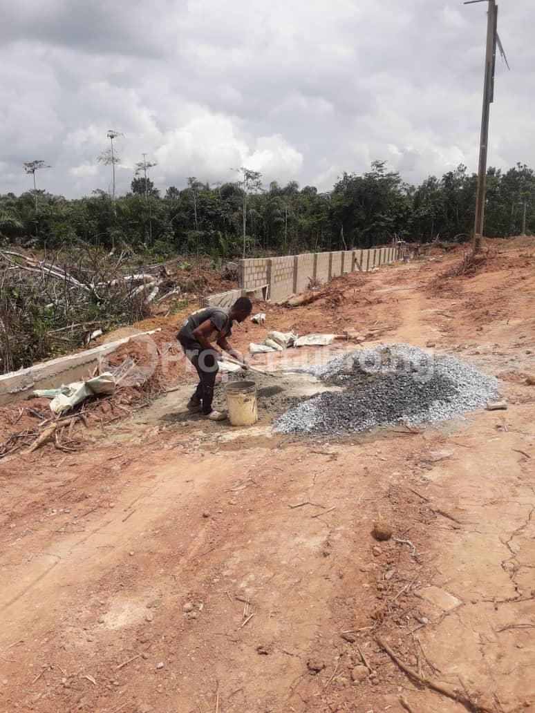 Land for sale Land Shirinwo Along Free Trade Zone Free Trade Zone Ibeju-Lekki Lagos - 0
