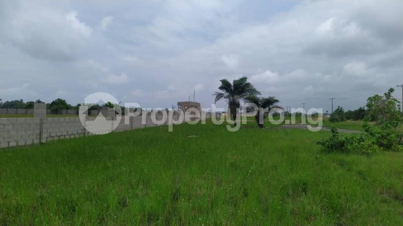 Land for sale Ocean Wealthy Okpara Road Okigwe Owerri Imo