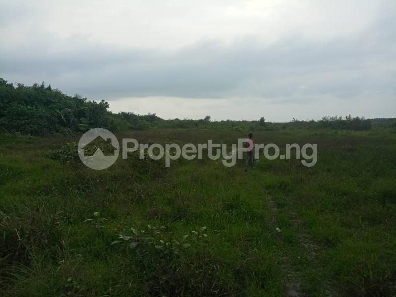Land for sale Banana Island Ikoyi Is Strategically Located At The Center Of Residential Zone Where You Can Multiple Your Investment And Create Wealth Banana Island Ikoyi Lagos