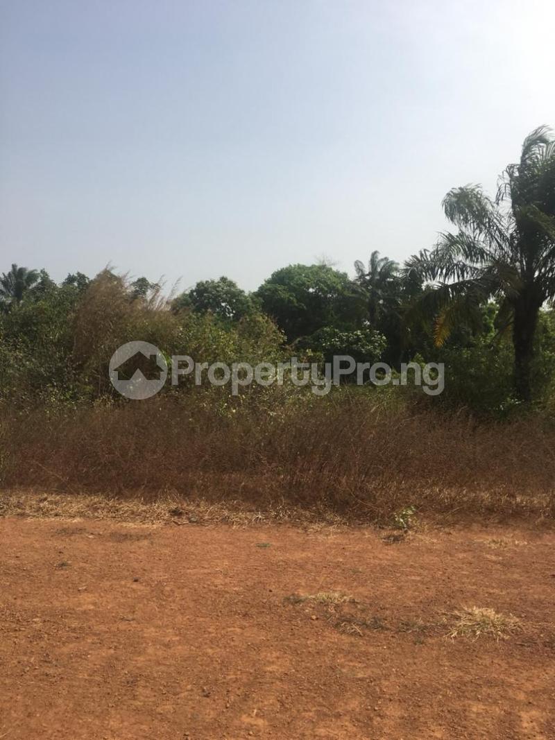 Land for sale Nkubor Village Emene Enugu State Nigeria Enugu Enugu