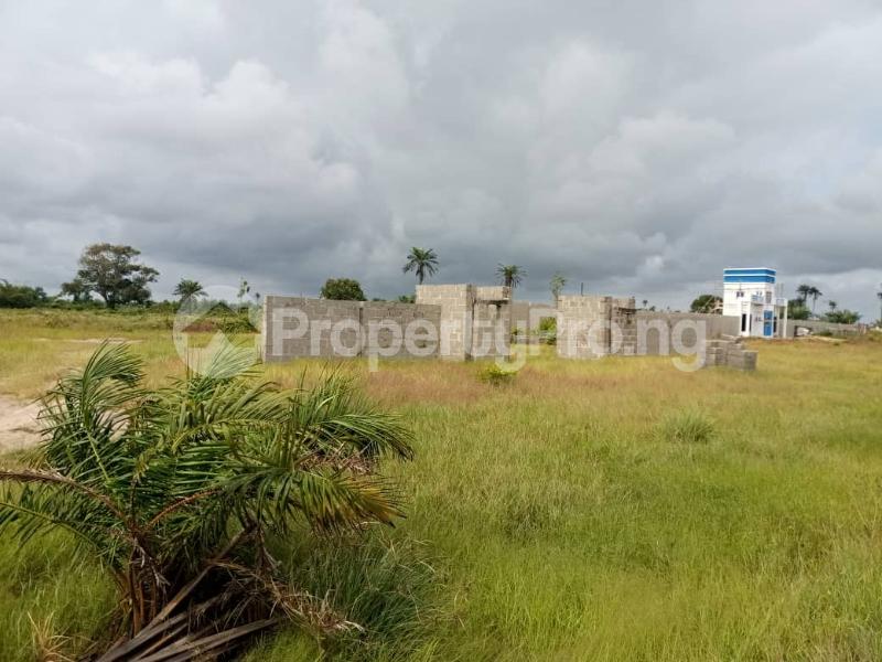 Land for sale Cola City Garden Estate Emene Nkubor Village Oji-River Enugu