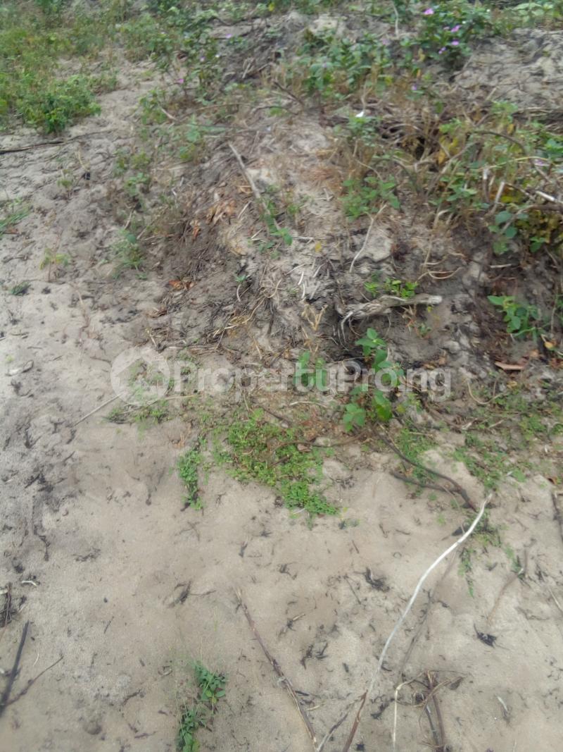 Land for sale Cherry Wood Courts Free Trade Zone Ibeju-Lekki Lagos - 0
