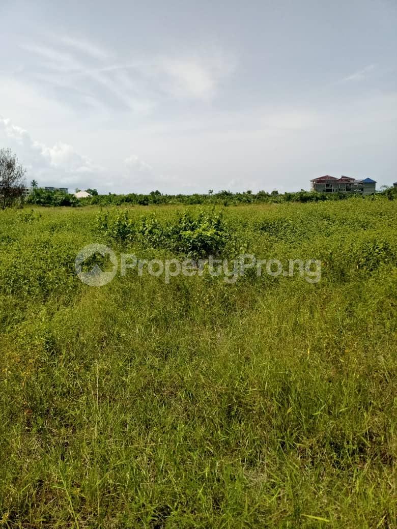 Land for sale Diamond Estate Facing Major Express Way Free Trade Zone Ibeju-Lekki Lagos - 0