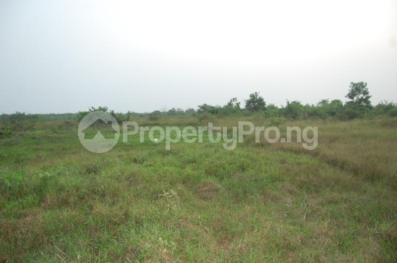 Land for sale Okpara Rd Okigwe Imo