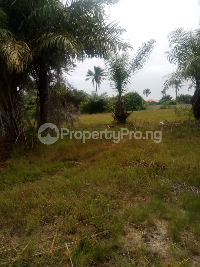 Land for sale Divine Grace Luxury Gardens Okun Ojeh By Alatise Village Alatise Ibeju-Lekki Lagos