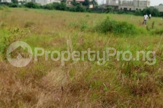 Land for sale Behind Arcadia Estate, Osapa, Off Lekki Epe Express Road, Lagos. Osapa london Lekki Lagos