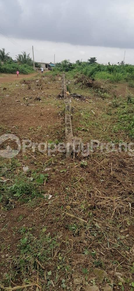 Land for sale Splendor Garden Okpara Road Okigwe Okigwe Imo