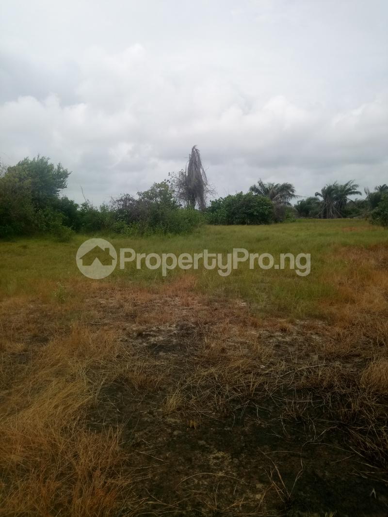 Land for sale Origanrigan Free Trade Zone, After Dangote Refinery Origanrigan Ibeju-Lekki Lagos