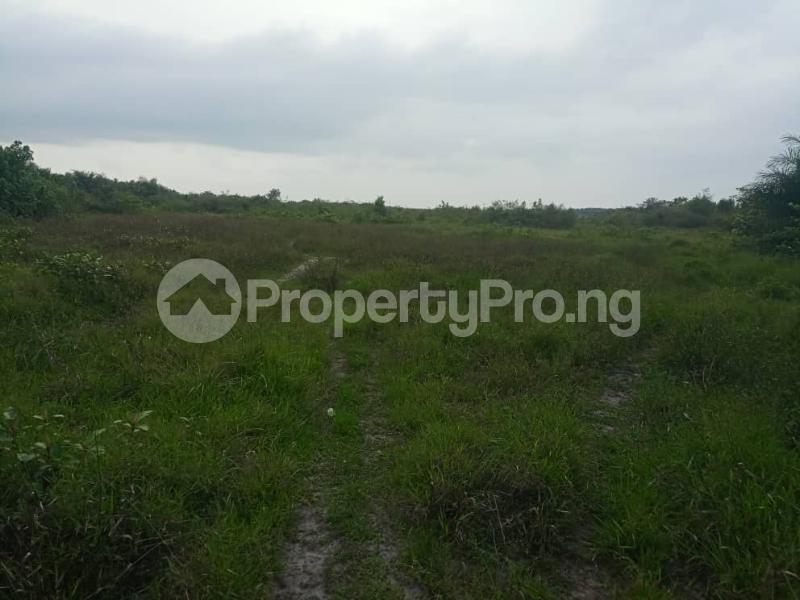 Land for sale Citynest Estate Is Strategically Located At The Center Of Residential Zone Of Poka Epe, Just A Minute Drive From The Atlantic Hall School, 3 Minutes From Alaro City, A Minute From The Main Road Epe Lagos - 0