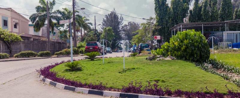 dolphin estate-guide