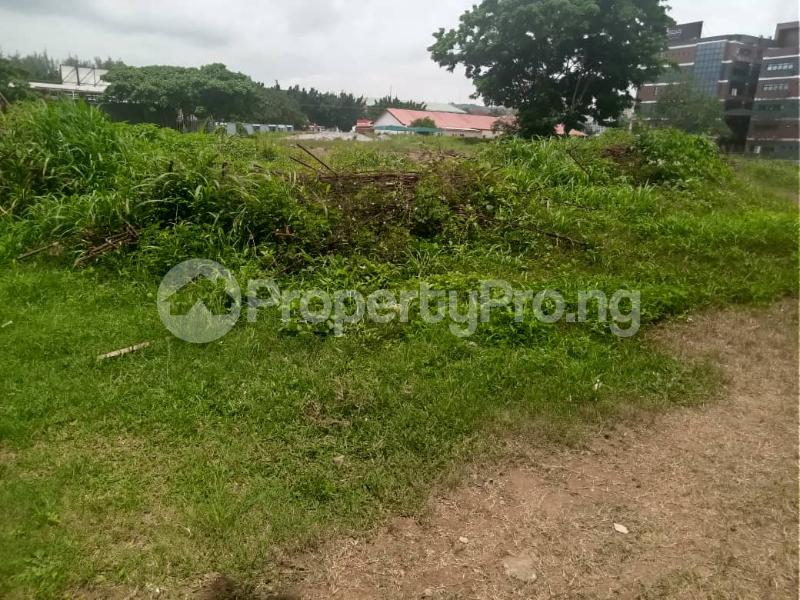 Land for rent Street Garki 2 Abuja