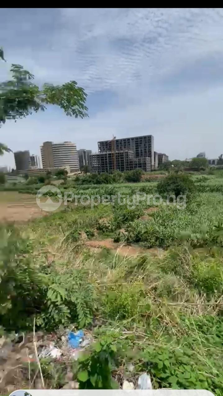 Land for sale Close To Cbn Head Quarters, Central Area Abuja - 10
