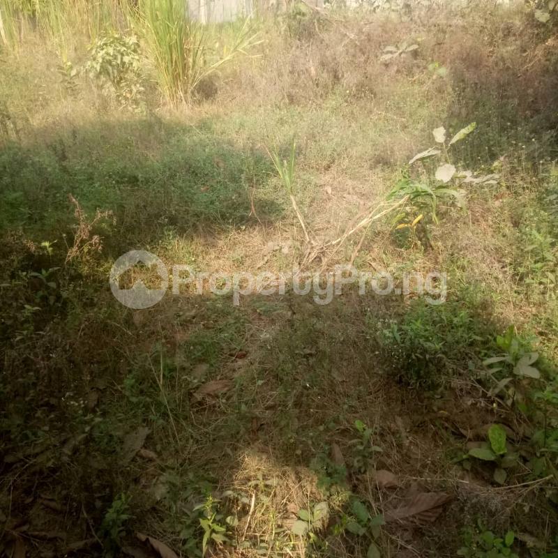 Land for sale Idowu Rufai Street Ago palace Okota Lagos - 0