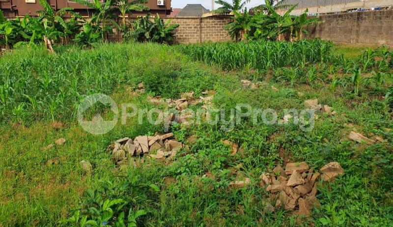 Land for sale Okunola Egbeda Alimosho Lagos